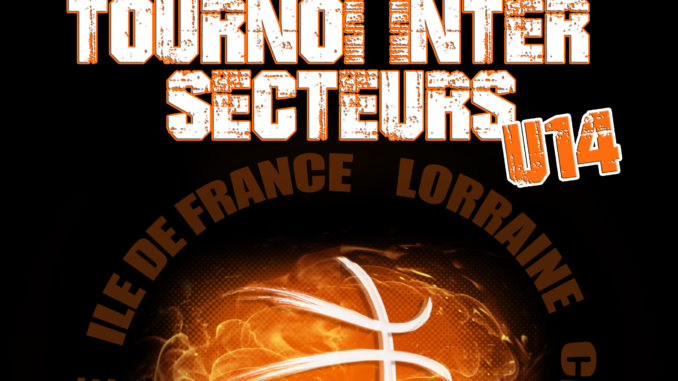 Affiche_TISU14